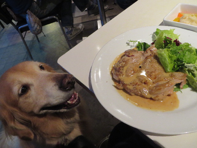 ファイル 3854-5.jpg