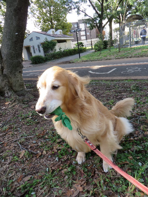 ファイル 3855-3.jpg