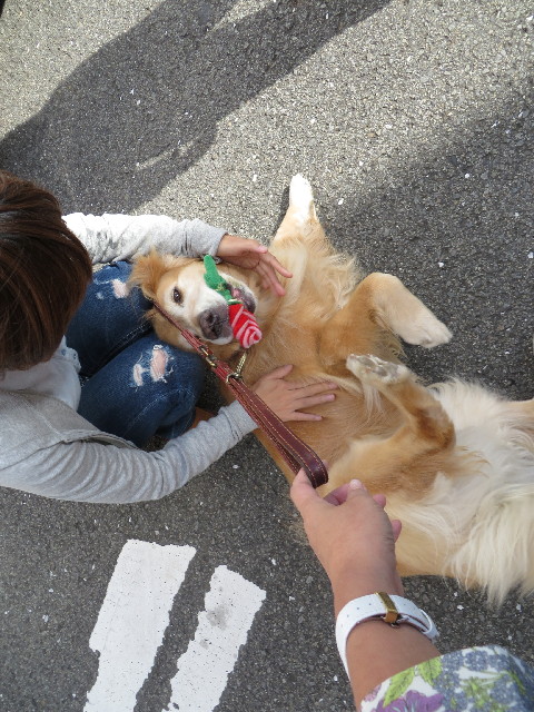 ファイル 3855-4.jpg