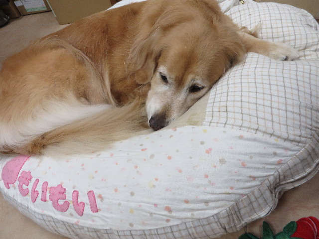 ファイル 3856-3.jpg