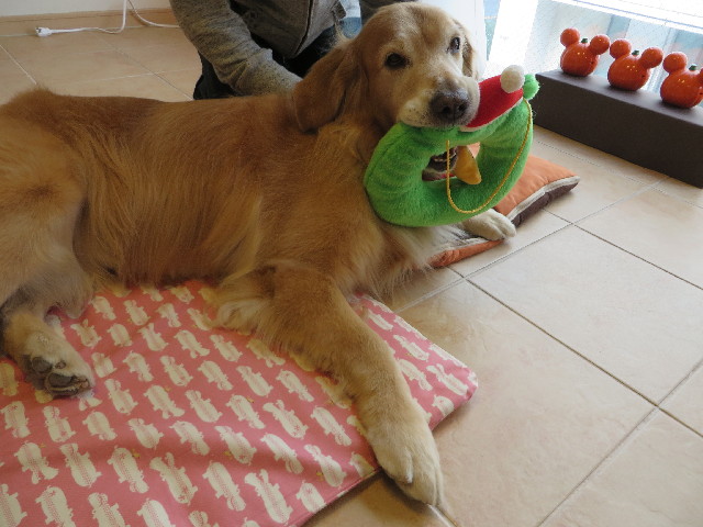 ファイル 3856-5.jpg