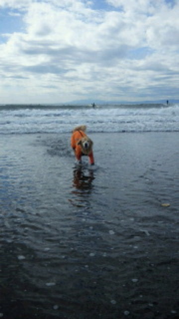 ファイル 3858-3.jpg