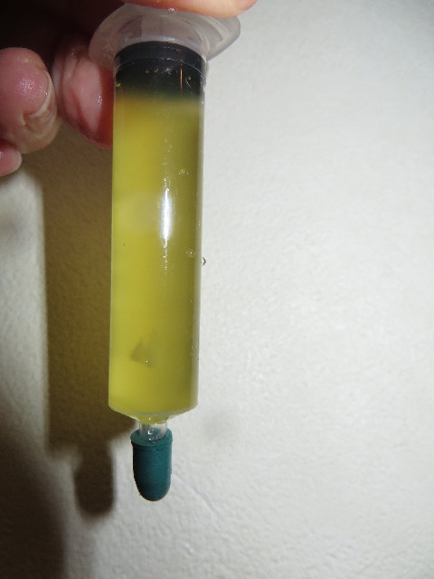 ファイル 3859-3.jpg