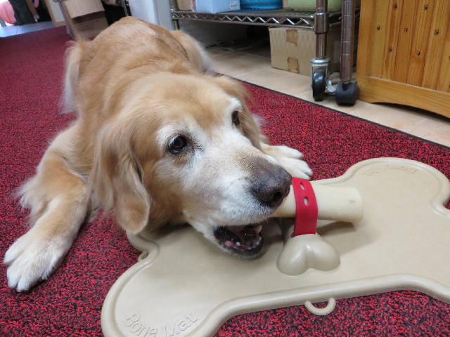 ファイル 3861-2.jpg