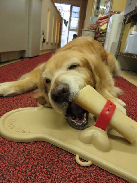 ファイル 3861-3.jpg