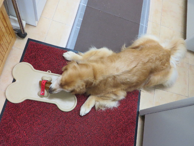 ファイル 3861-5.jpg