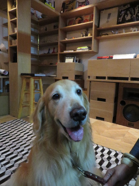 ファイル 3862-2.jpg