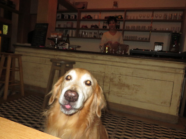 ファイル 3862-5.jpg