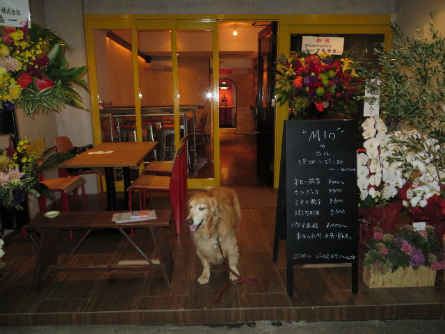 ファイル 3863-2.jpg