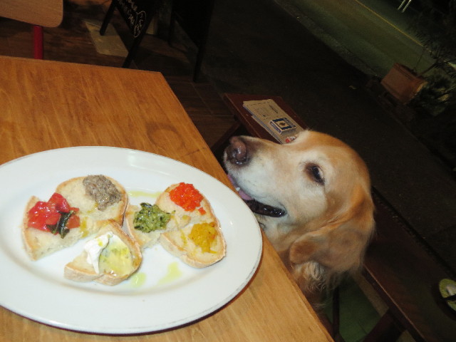 ファイル 3863-4.jpg