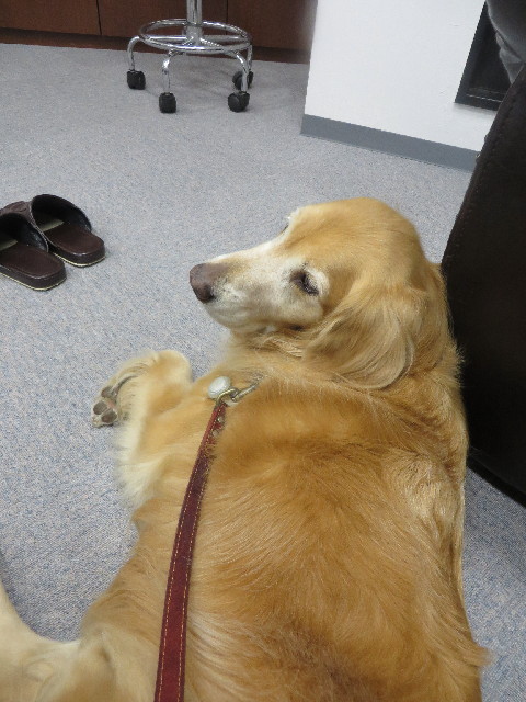 ファイル 3864-1.jpg