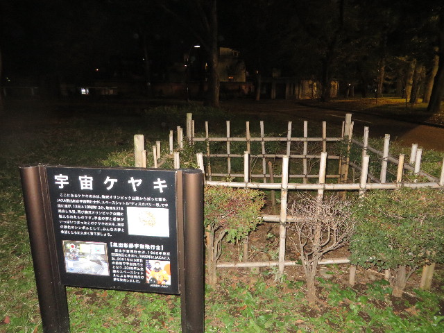 ファイル 3864-3.jpg