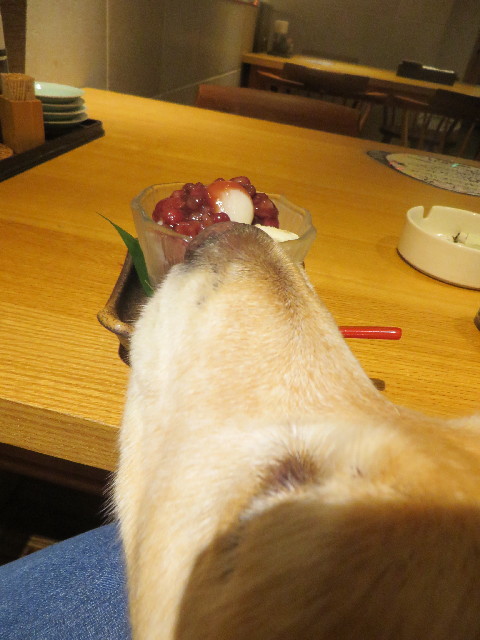 ファイル 3864-5.jpg