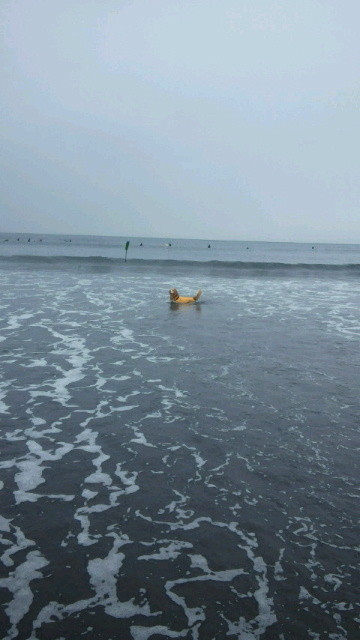 ファイル 3865-3.jpg