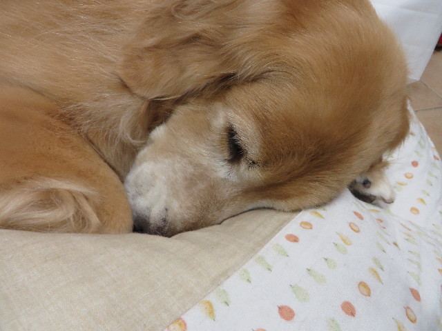 ファイル 3865-5.jpg