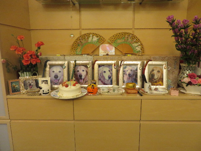 ファイル 3866-3.jpg