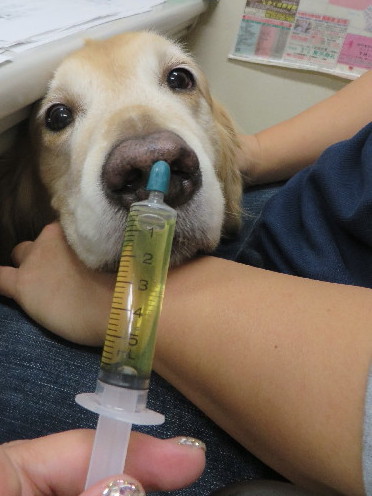 ファイル 3868-2.jpg