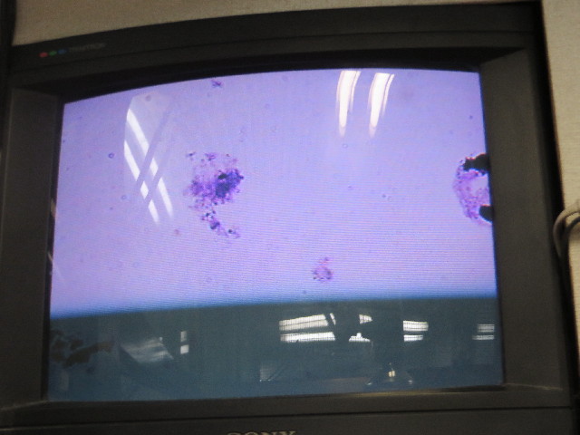 ファイル 3868-3.jpg