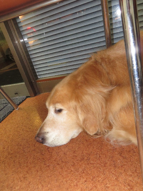 ファイル 3868-5.jpg