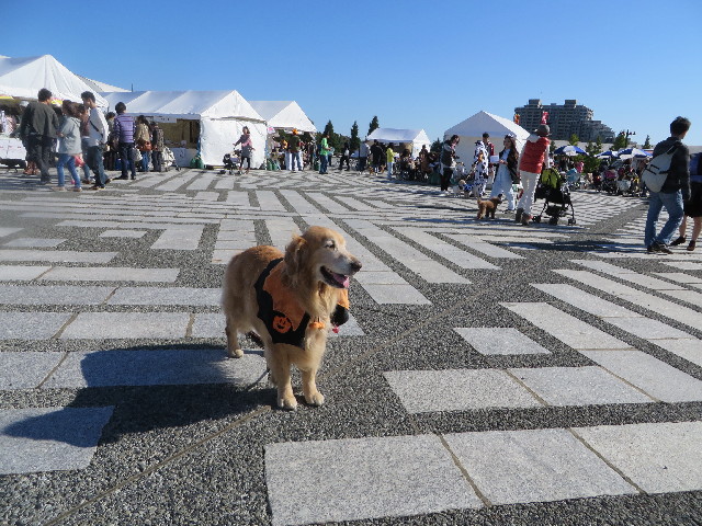 ファイル 3869-1.jpg