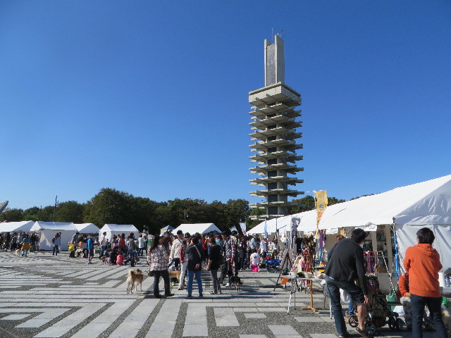 ファイル 3869-3.jpg