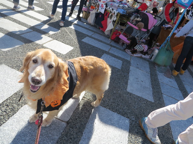 ファイル 3869-4.jpg