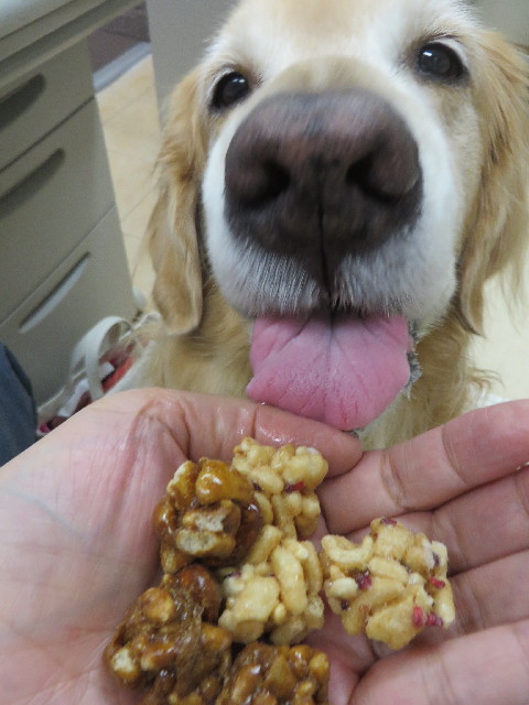 ファイル 3870-2.jpg