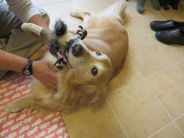 ファイル 3870-5.jpg