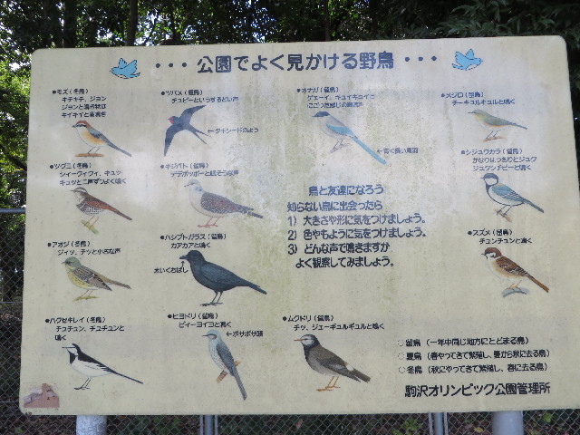 ファイル 3871-2.jpg