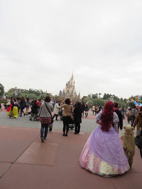 ファイル 3872-1.jpg