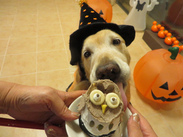 ファイル 3877-5.jpg