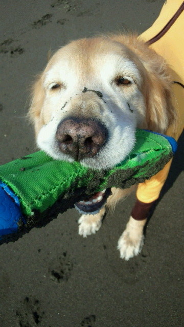 ファイル 3878-4.jpg