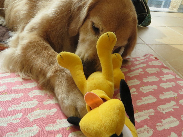 ファイル 3879-3.jpg