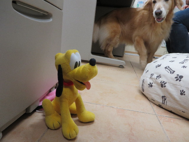 ファイル 3881-2.jpg