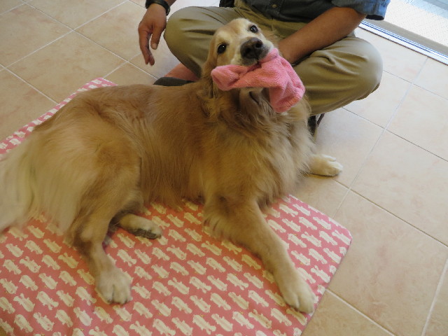 ファイル 3883-4.jpg