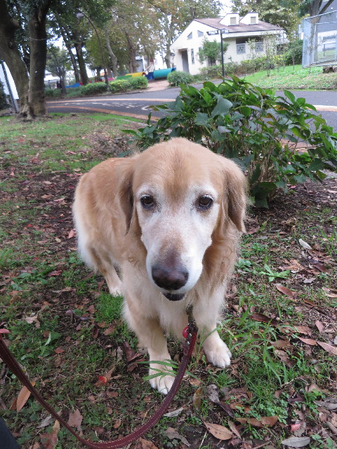 ファイル 3884-1.jpg