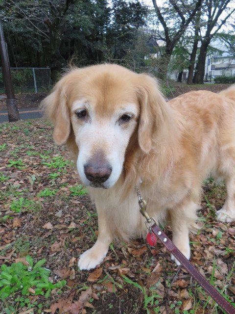 ファイル 3884-3.jpg