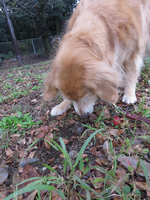 ファイル 3884-4.jpg