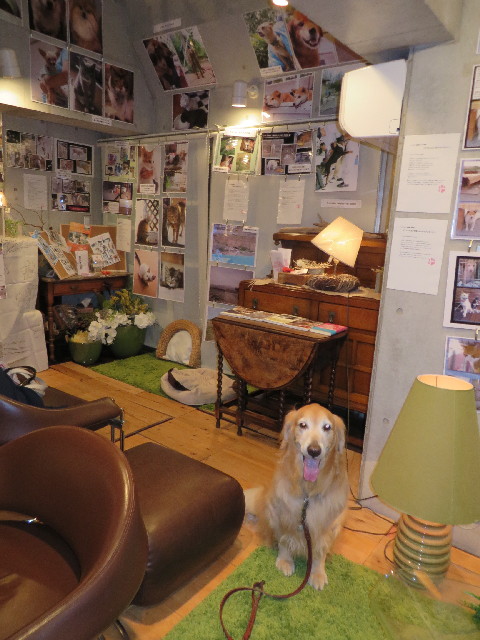 ファイル 3886-1.jpg