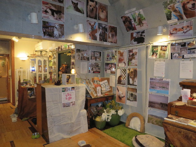 ファイル 3886-2.jpg