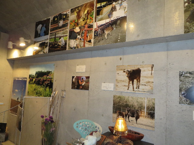 ファイル 3886-3.jpg