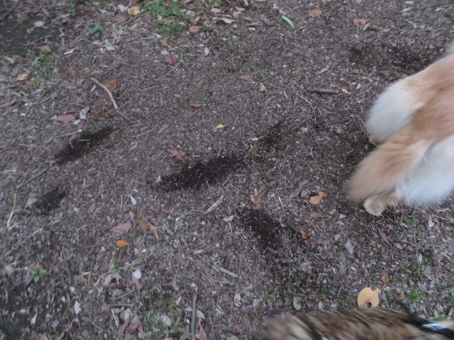 ファイル 3887-3.jpg