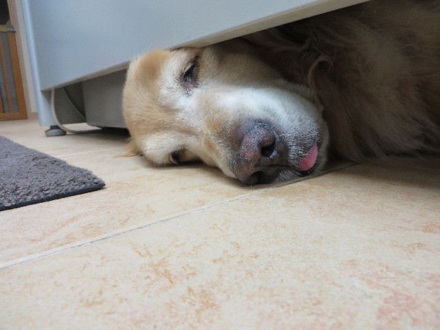 ファイル 3888-2.jpg