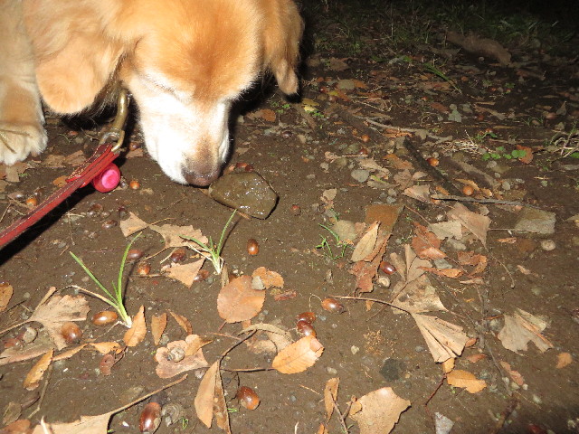 ファイル 3888-3.jpg