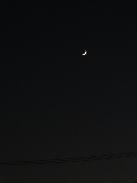 ファイル 3888-5.jpg