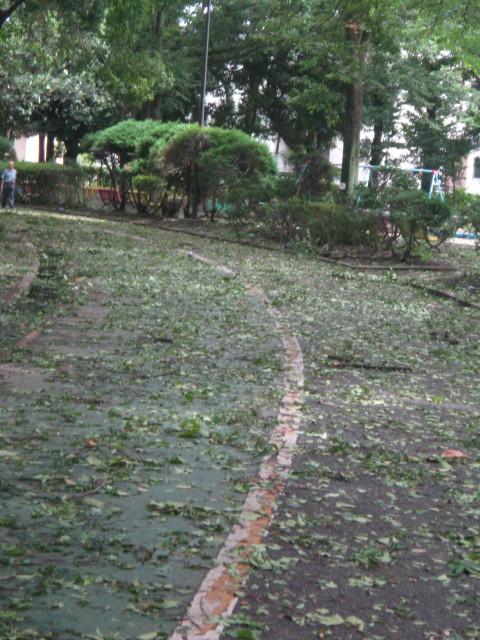 ファイル 389-1.jpg