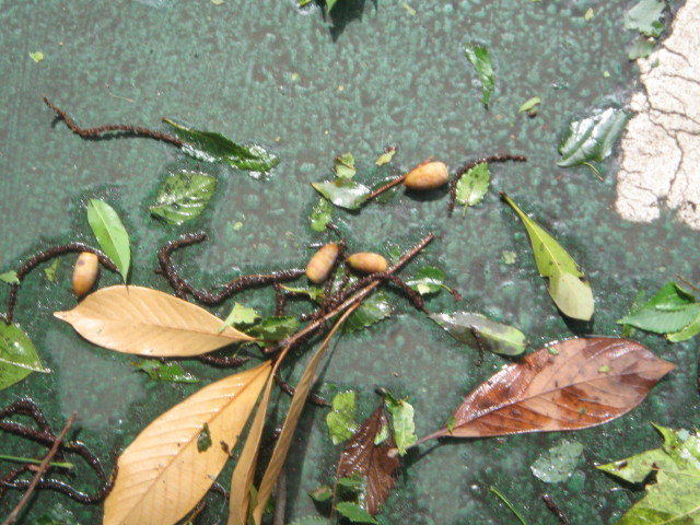 ファイル 389-3.jpg