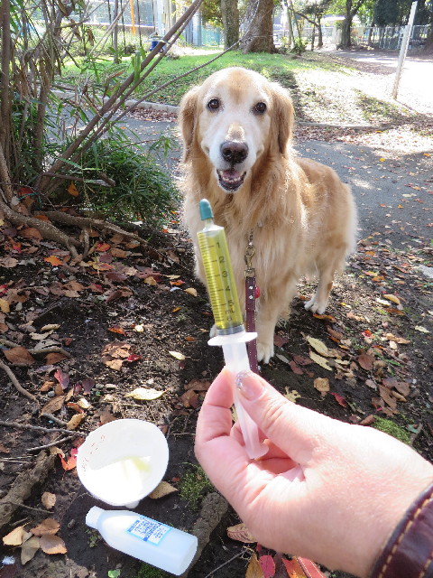 ファイル 3890-2.jpg