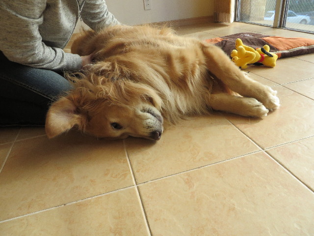 ファイル 3890-5.jpg