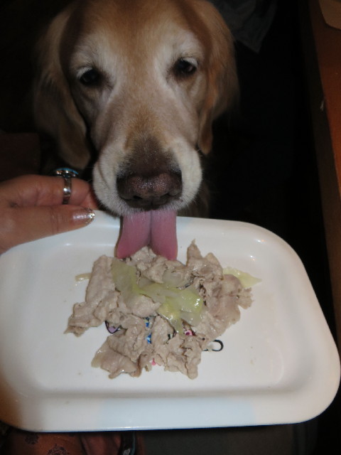 ファイル 3891-4.jpg